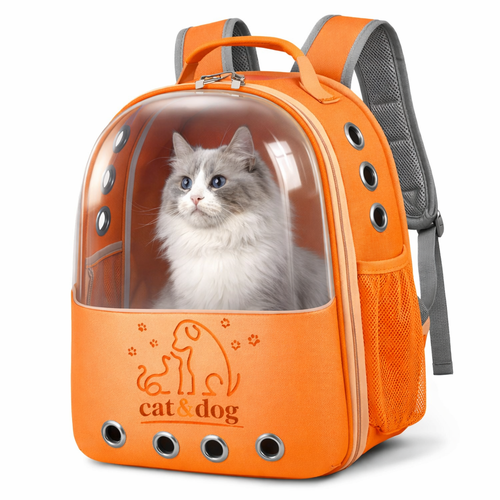 Mochilas & Transporte