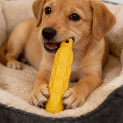 Brinquedo de EVA para Cães – Ideal para Mordidas