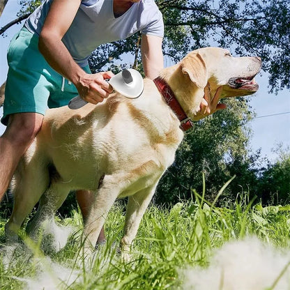 Escova Removedora de Pelos para Cães e Gatos com Botão Automático com 3 Unidades