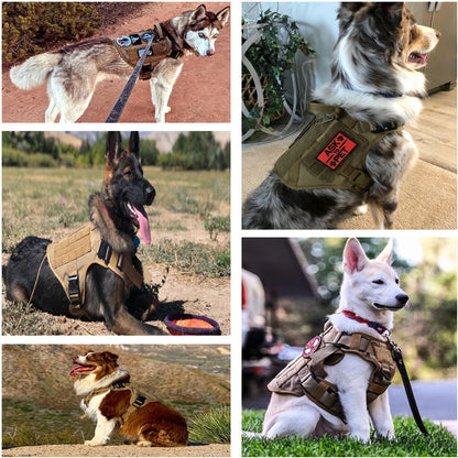 Arnês Tático para Cães – Segurança Máxima no Passeio 🐕‍🦺