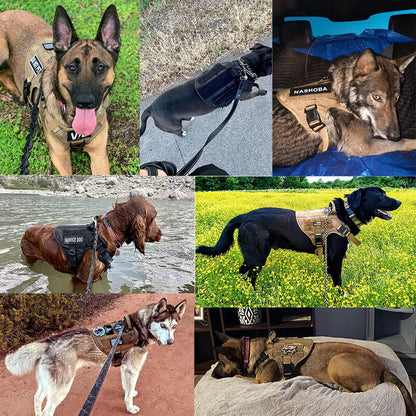Arnês Tático para Cães – Segurança Máxima no Passeio 🐕‍🦺