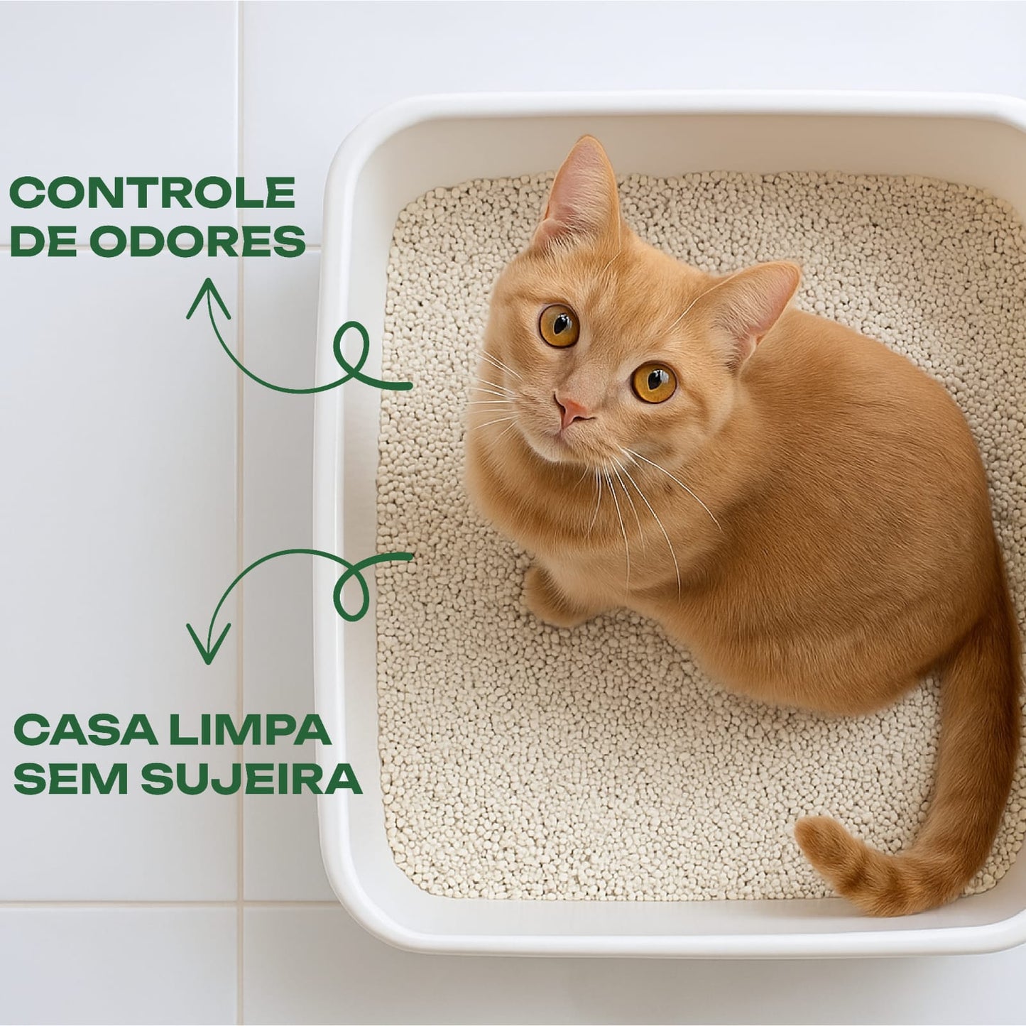 Kit 4x Areia para Gatos CatMais Biodegradável 4kg – Natural, Econômica e Ultra Eficiente