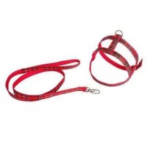 kit 10x Conjunto Guia e Peitoral para Gatos em Seda – Conforto e Segurança nos Passeios